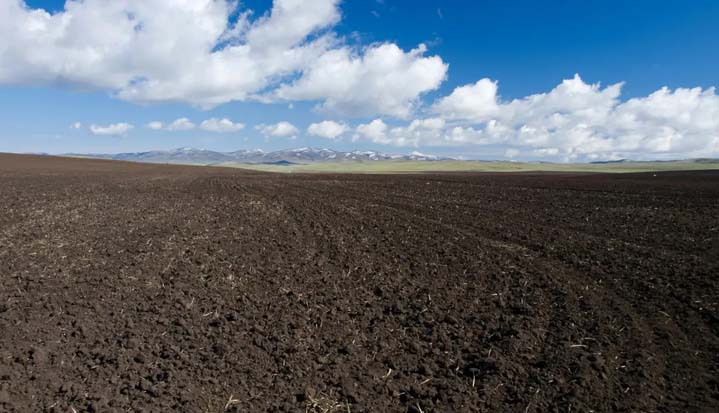 Terreno sin preparar con montañas de fondo.
